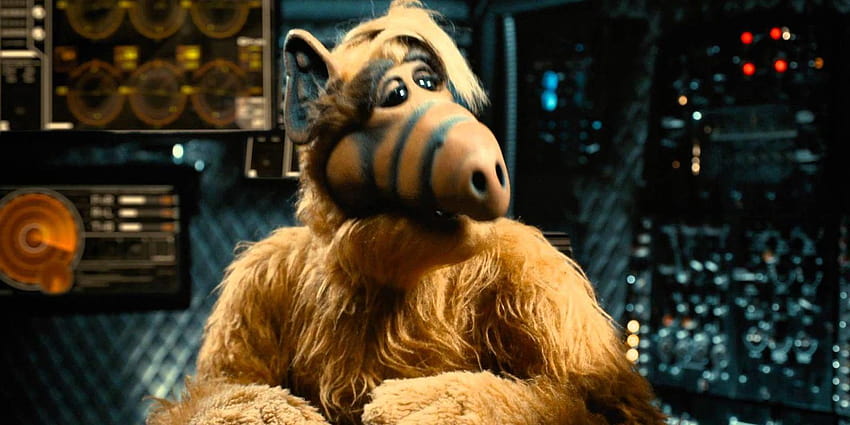 ALF is the latest '80s sitcom to get the reboot treatment, alf tv show HD wallpaper