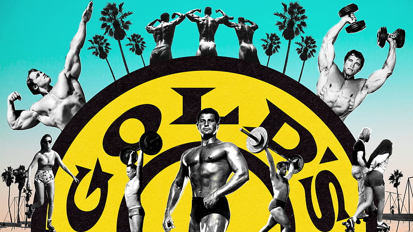 Arnold Schwarzenegger가 귀하의 , 모바일 및 태블릿을 위해 [1600x900]가 된 Golds Gym의 구술 역사 HD 월페이퍼