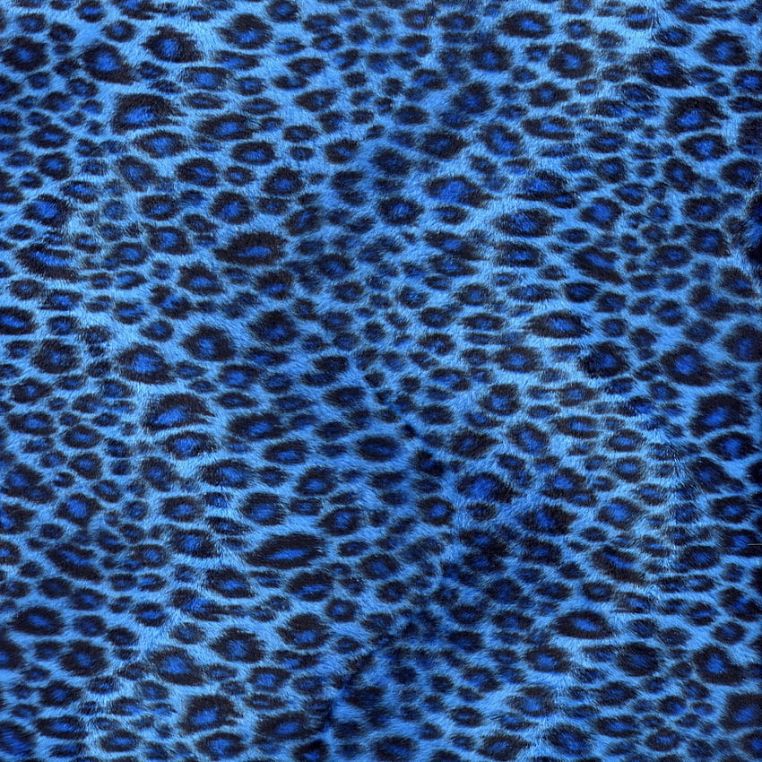 estampado de leopardo 1800x1800 Alta calidad, alta definición, estampado de leopardo azul fondo de pantalla del teléfono