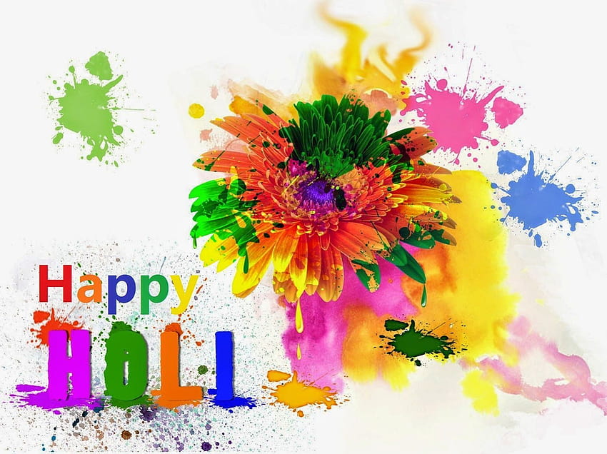 Happy Holi, holi special HD wallpaper
