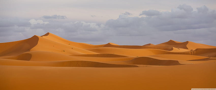 Saara, o maior deserto ❤ para Ultra papel de parede HD
