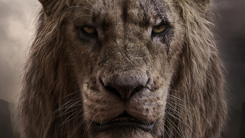 Chiwetel Ejiofor като белег в The Lion King 2019, филми, disney lion king 2019 HD тапет