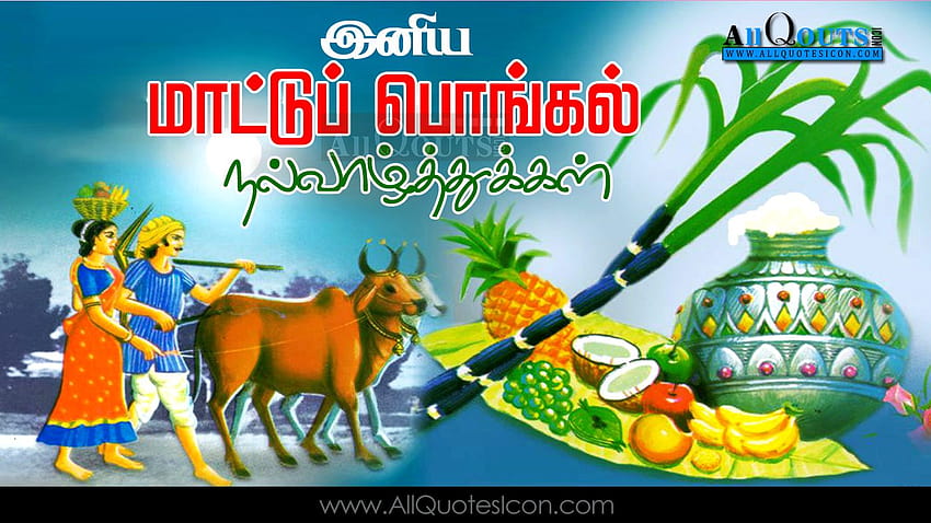 Mutlu Pongal 2017 Tamilce Dilekler Best Mattu Pongal Selamlar Tamil Alıntılar HD duvar kağıdı