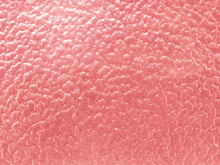 Coral Red Textured Glass with Bumpy Surface graph [4608x3456] for your , Mobile & Tablet HD wallpaper