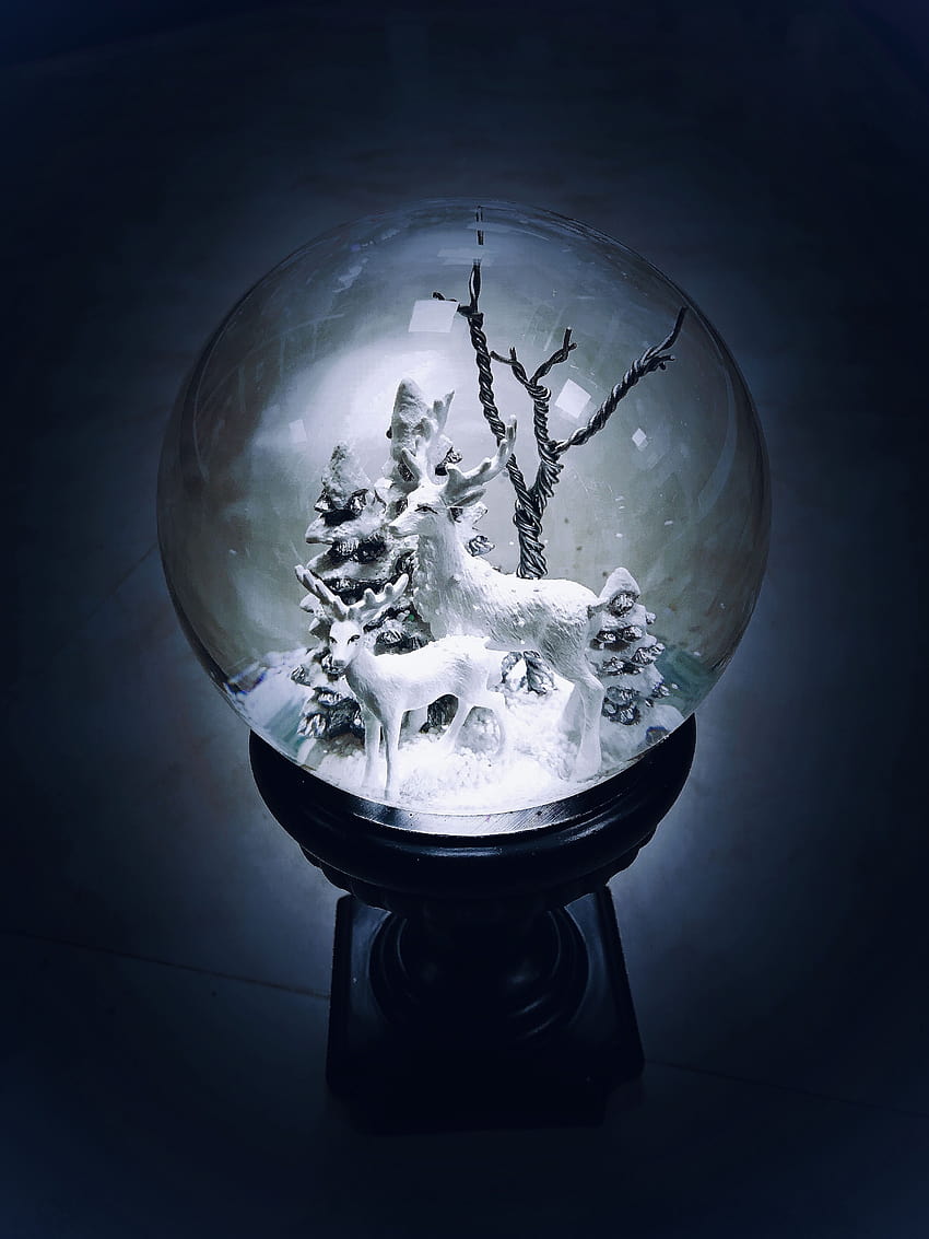 Mysterious glowing snow globe of white reindeers, snowglobe HD phone wallpaper