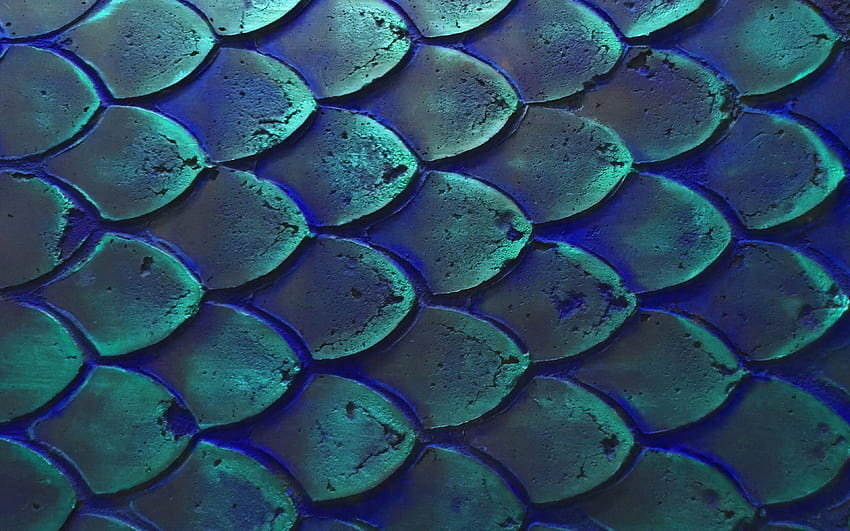 fish scales, macro, scales textures, 3D textures, backgrounds with scales, blue backgrounds, scales with resolution 3840x2400. High Quality HD wallpaper