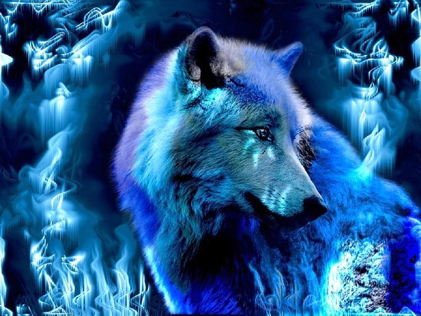 Lobo azul, espíritu animal fondo de pantalla | Pxfuel