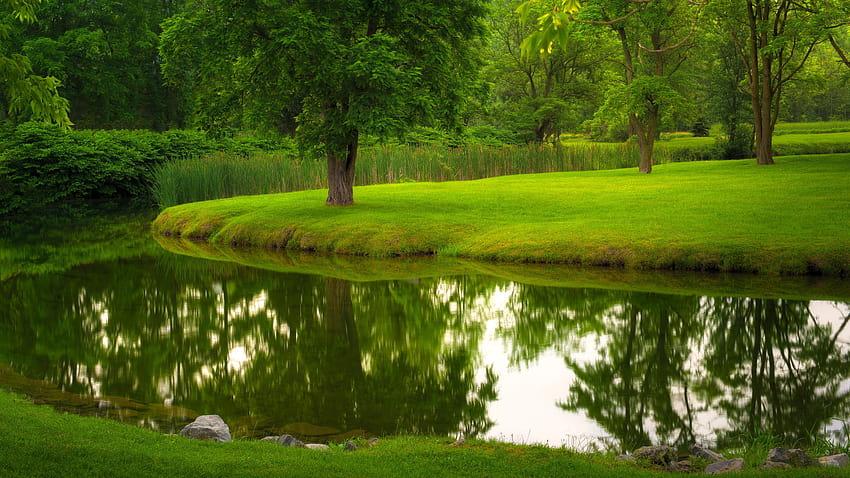 lato, trawa, drzewa, Natura, Park, rzeka, trawnik, sekcja natura w rozdzielczości 2048x1152, 2048x1152 lato Tapeta HD