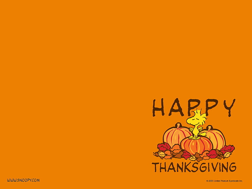 Preppy Thanksgiving Wallpapers  Wallpaper Cave