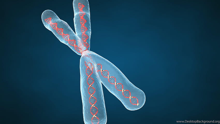 Cromosoma Dna Pattern Genetico 3 d Psichedelico Sfondo HD