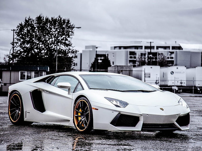 Lamborghini fond blanc