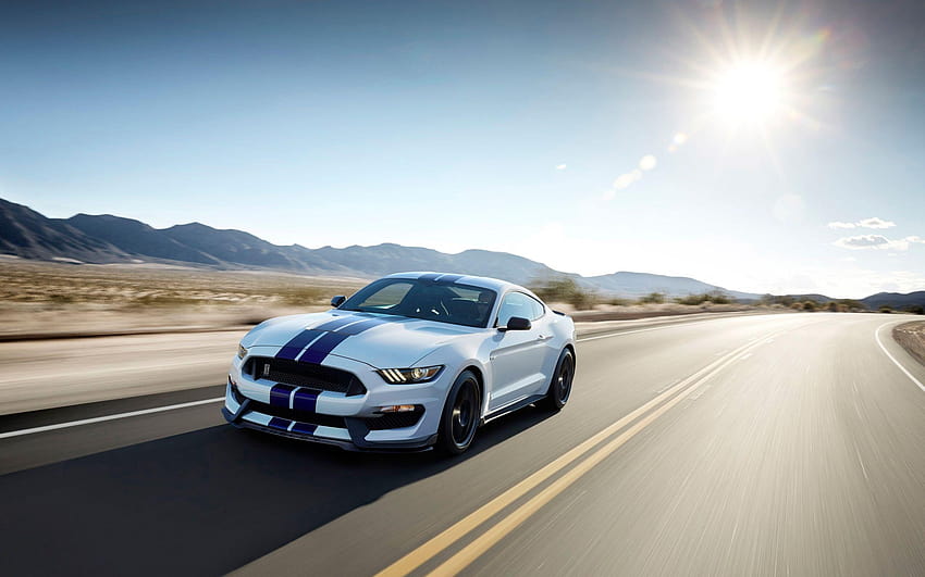 Shelby Ford Mustang GT350, ford Shelby GT350 Tapeta HD
