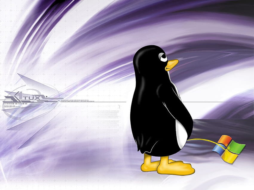 Linux Vs Windows posted by Sarah Sellers, linux windows HD wallpaper