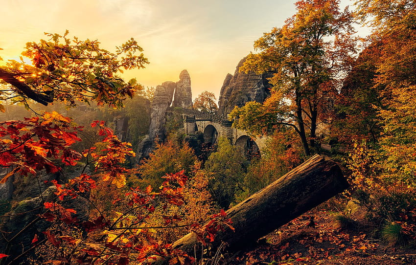 秋, 葉, 太陽, 木, 橋, 石, 岩, ドイツ, ザクセン, ザクセン, セクション природа 高画質の壁紙