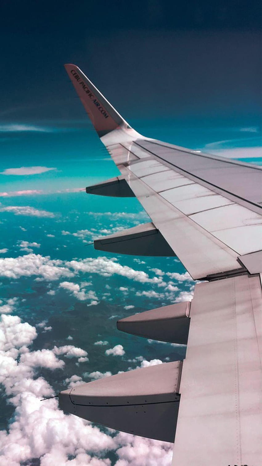 블루와 핑크, 비행기 미학에 여행자의 최고의 의상과 액세서리 HD 전화 배경 화면