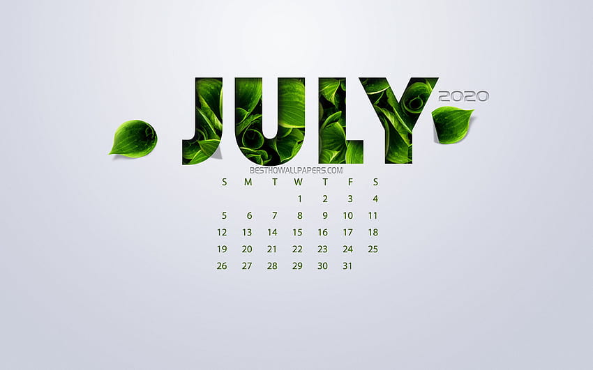 July 2020 Calendar, eco concept, green leaves HD wallpaper