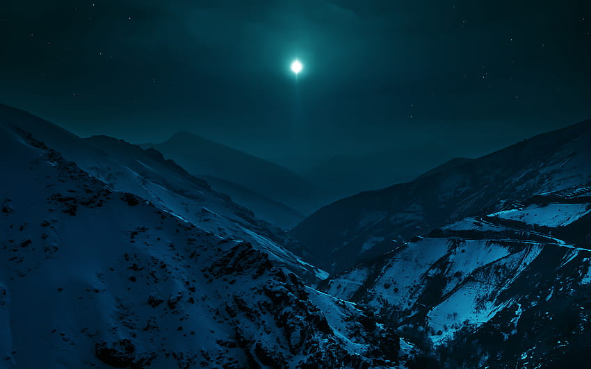 Winter Night in Moonlight