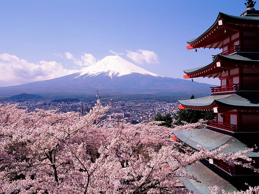 Spring In Japan Spring High Definition Cool For Windows Apple Mac Tablet 1600x1200, castle spring HD wallpaper