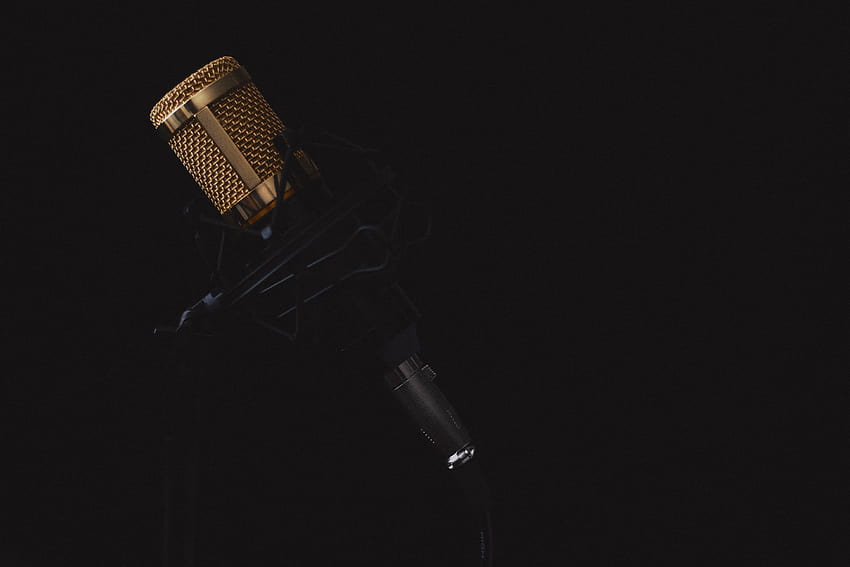 Prise de vue macro d'un microphone à condensateur de studio noir et bronze, microphone de studio Fond d'écran HD