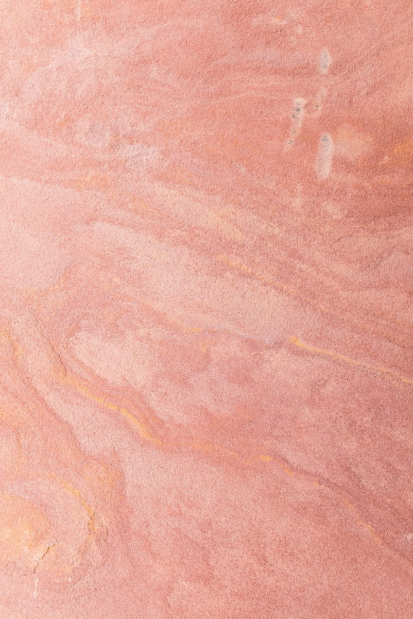 Dusty Pink, mawar berdebu wallpaper ponsel HD