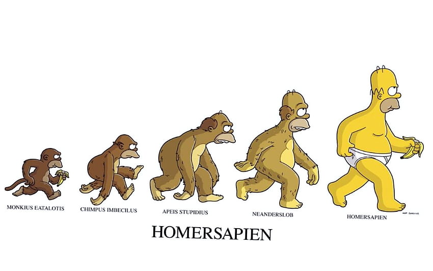 Funny Human Evolution Simpson / and Mobile HD wallpaper | Pxfuel