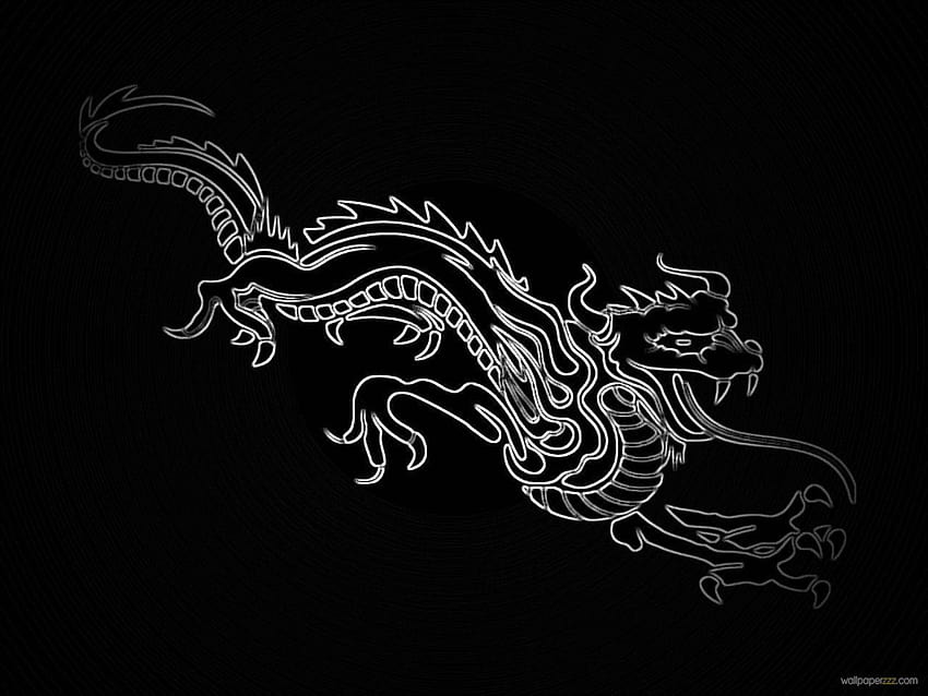 Chinese Dragon 1280x960 px HD wallpaper | Pxfuel