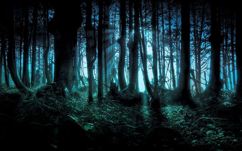 Imgur, mystical forest HD wallpaper