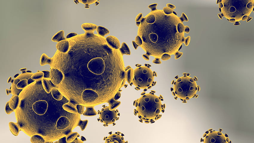 Baylor student being tested for possible case of Coronavirus ..., corona virus HD wallpaper