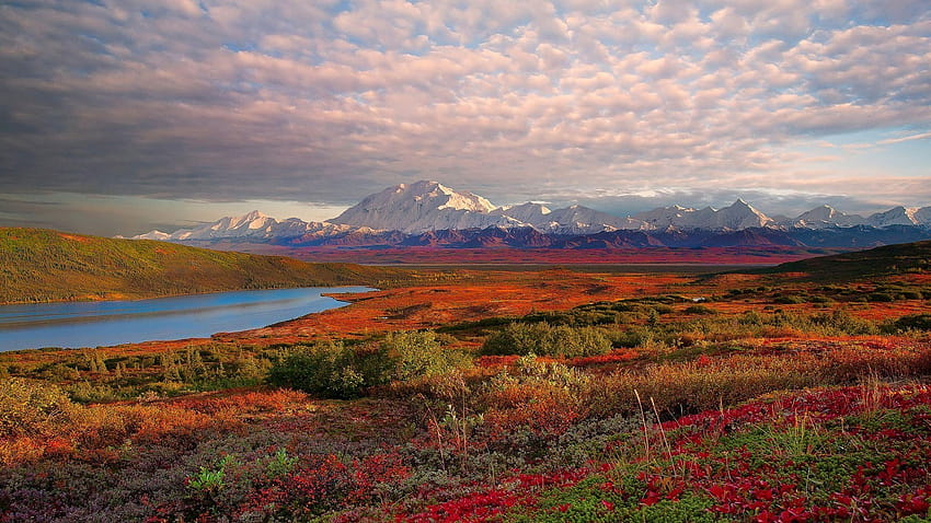 Landscape Denali National Park Alaska HD wallpaper
