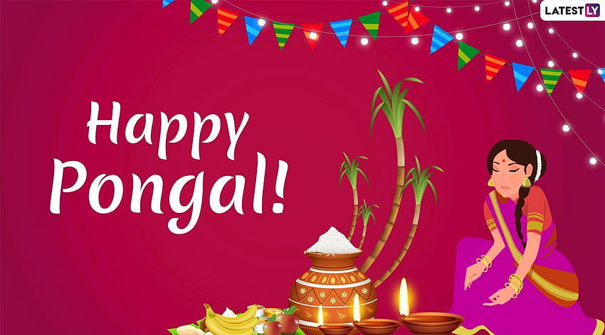 Happy Pongal 2020 Greetings & : Mattu Pongal WhatsApp Stickers, Hike GIF Messages, SMS and Quotes to Celebrate Tamil Nadu Harvest Festival HD wallpaper