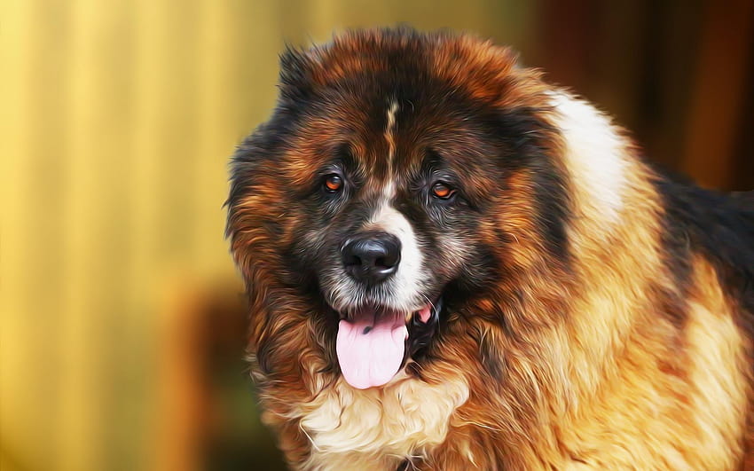 Caucasian Shepherd Dog ศิลปะ สุนัขโต สัตว์เลี้ยงสำหรับ วอลล์เปเปอร์ HD