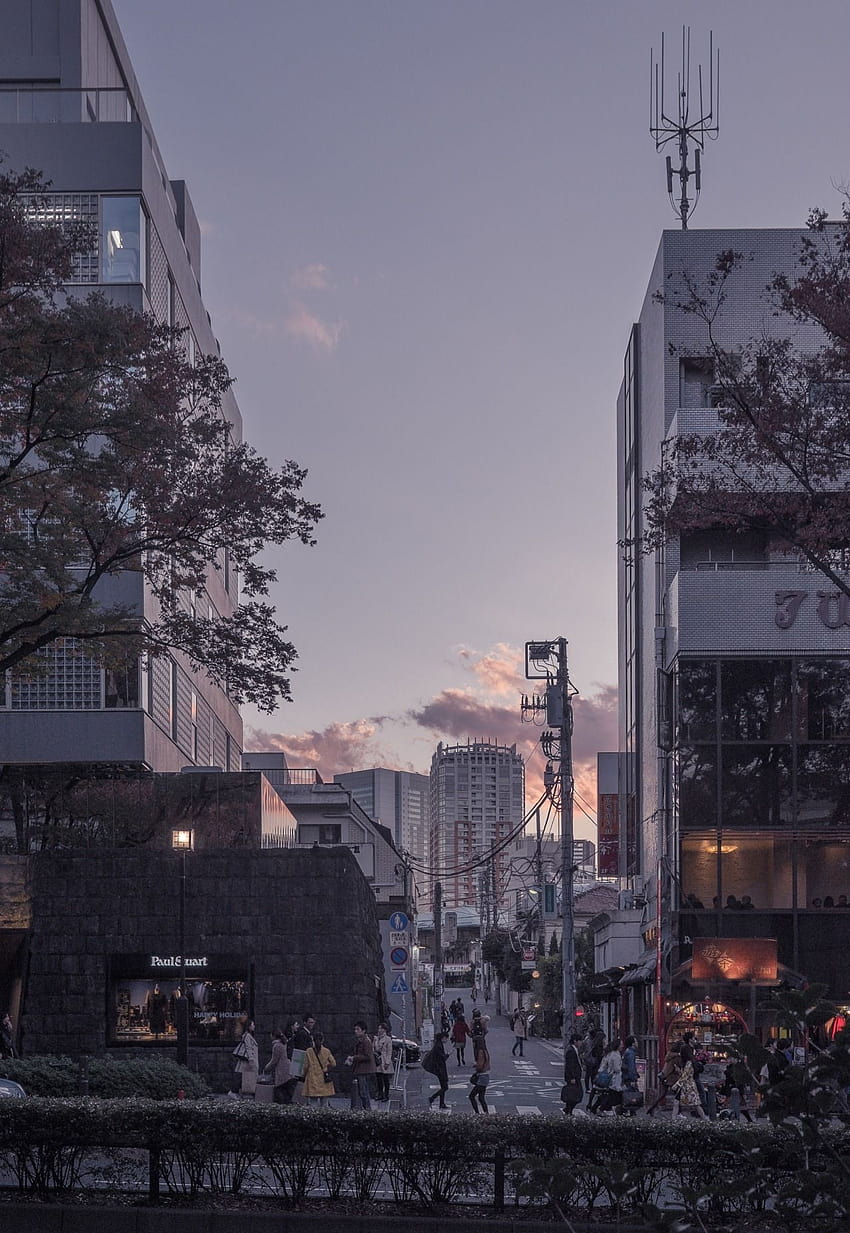 Sonnenuntergang in Omotesando, Tokio, japanische Straßenästhetik HD-Handy-Hintergrundbild