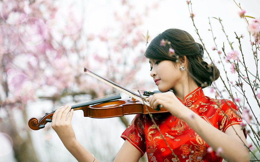 Woman playing the violin, girl and violin HD wallpaper