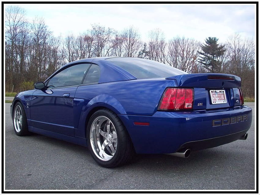 À venda 2003 Sonic Blue Cobra em NC 605/594 Whipple, 2003 ford mustang cobra terminator papel de parede HD
