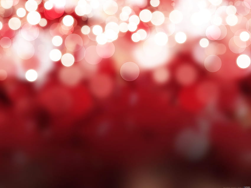 Red Christmas Lights on Dog, christmas light aesthetic HD wallpaper