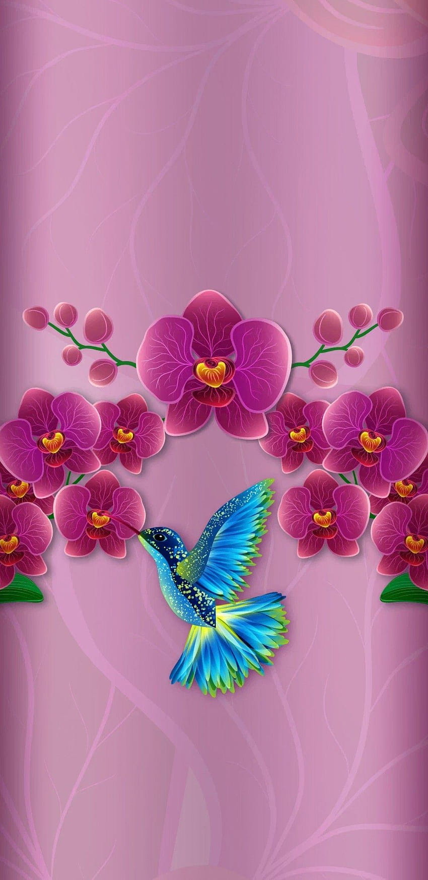 Hummingbird & Hot Pink Flowers!!, hummingbirds and lilacs HD phone wallpaper