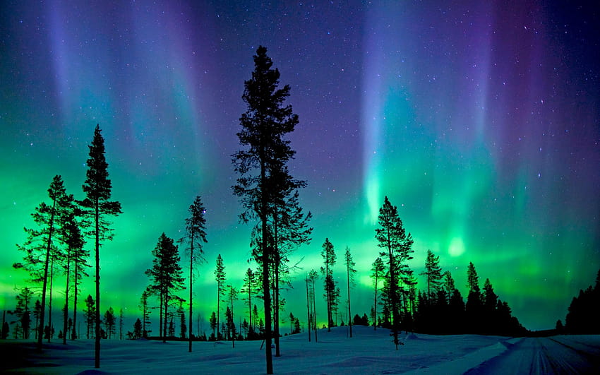 Northern Lights, Abisko National Park, Aurora, northern lights acadia national park HD wallpaper