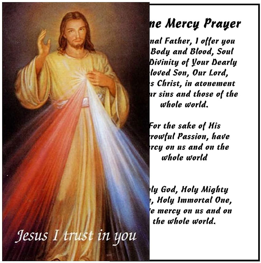 Divine Mercy Jesus I Trust in You Laminated Holy Card Blessed by His ...