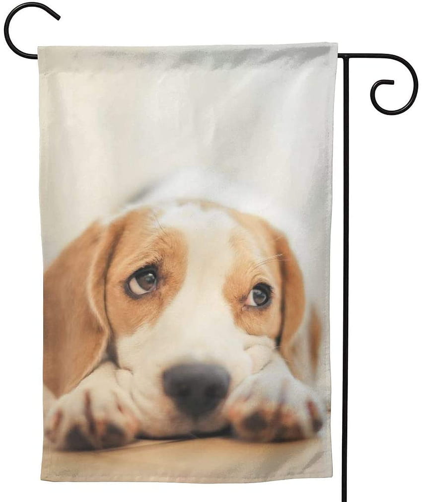 BCQJNB Double Sided Beagles Manufacturer OFFicial shop Design Welcome Fla Garden HD phone wallpaper