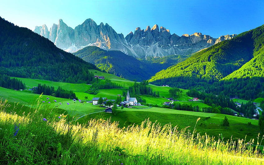中央東アルプス山脈 夏の村 山頂 山 美しい花 緑の草 青い空 1920x1200 : 13 高画質の壁紙