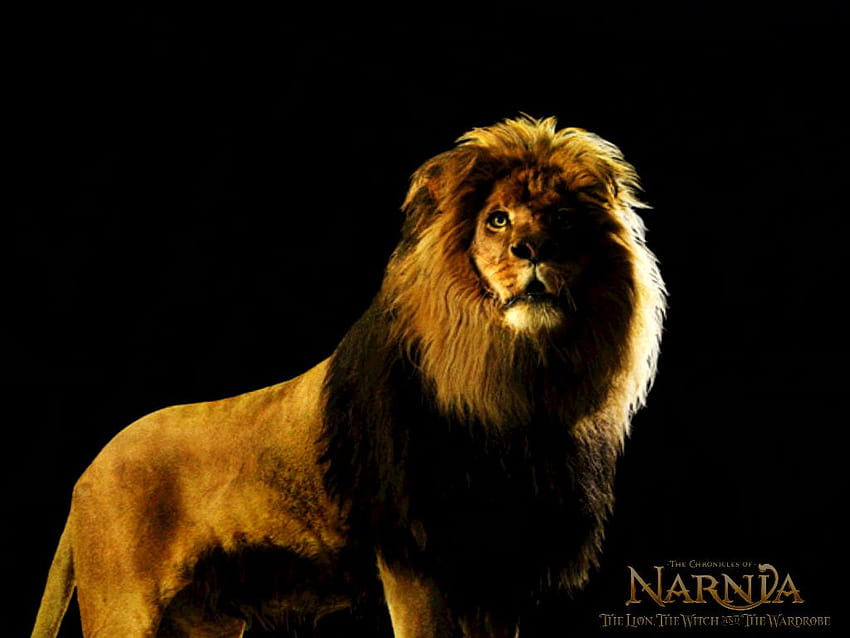 Aslan Narnia Lion Hd Wallpaper for Desktop and Mobiles Retina iPad