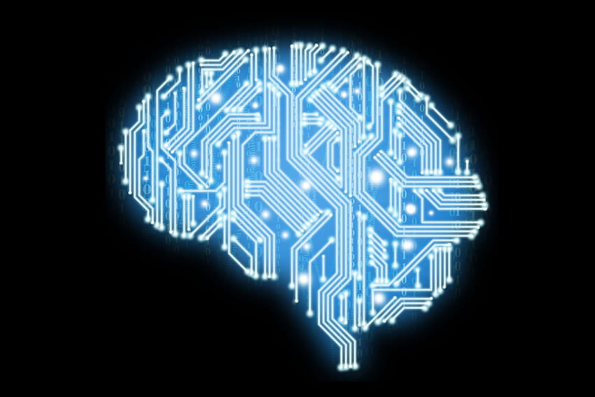 Cérebro de inteligência artificial em cachorro papel de parede HD