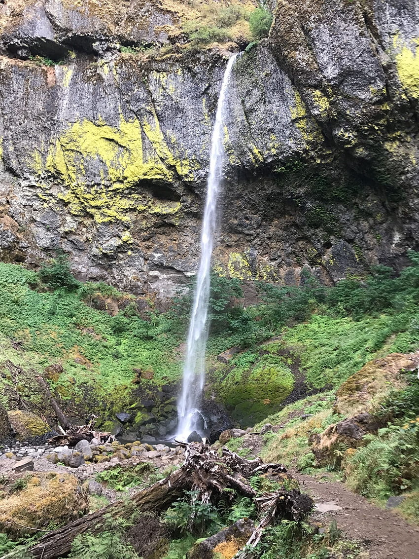 Gorge River Trail до Tanner Creek [ЗАТВОРЕНО], elowah falls Oregon Columbia River Gorge HD тапет за телефон