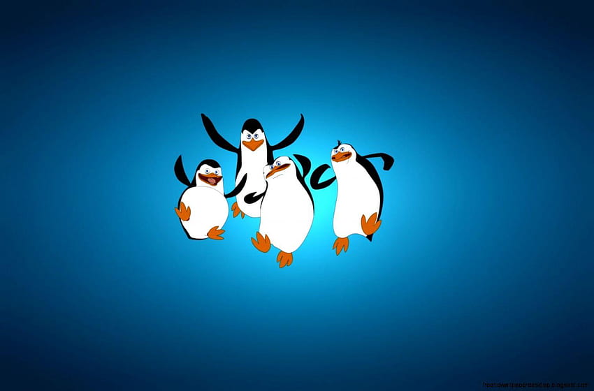 The penguins of madagascar Gallery, cartoon penguin HD wallpaper | Pxfuel