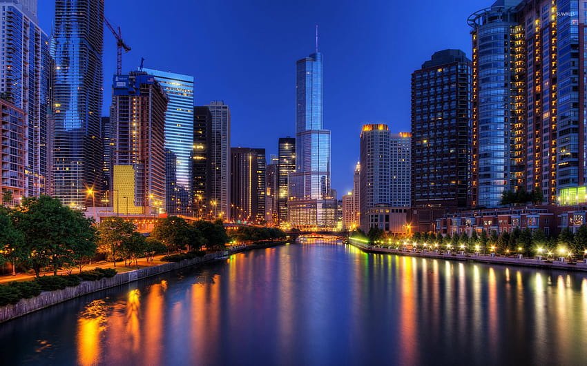 Download Chicago City Night Skyline With Blue Lights Wallpaper  Wallpapers com