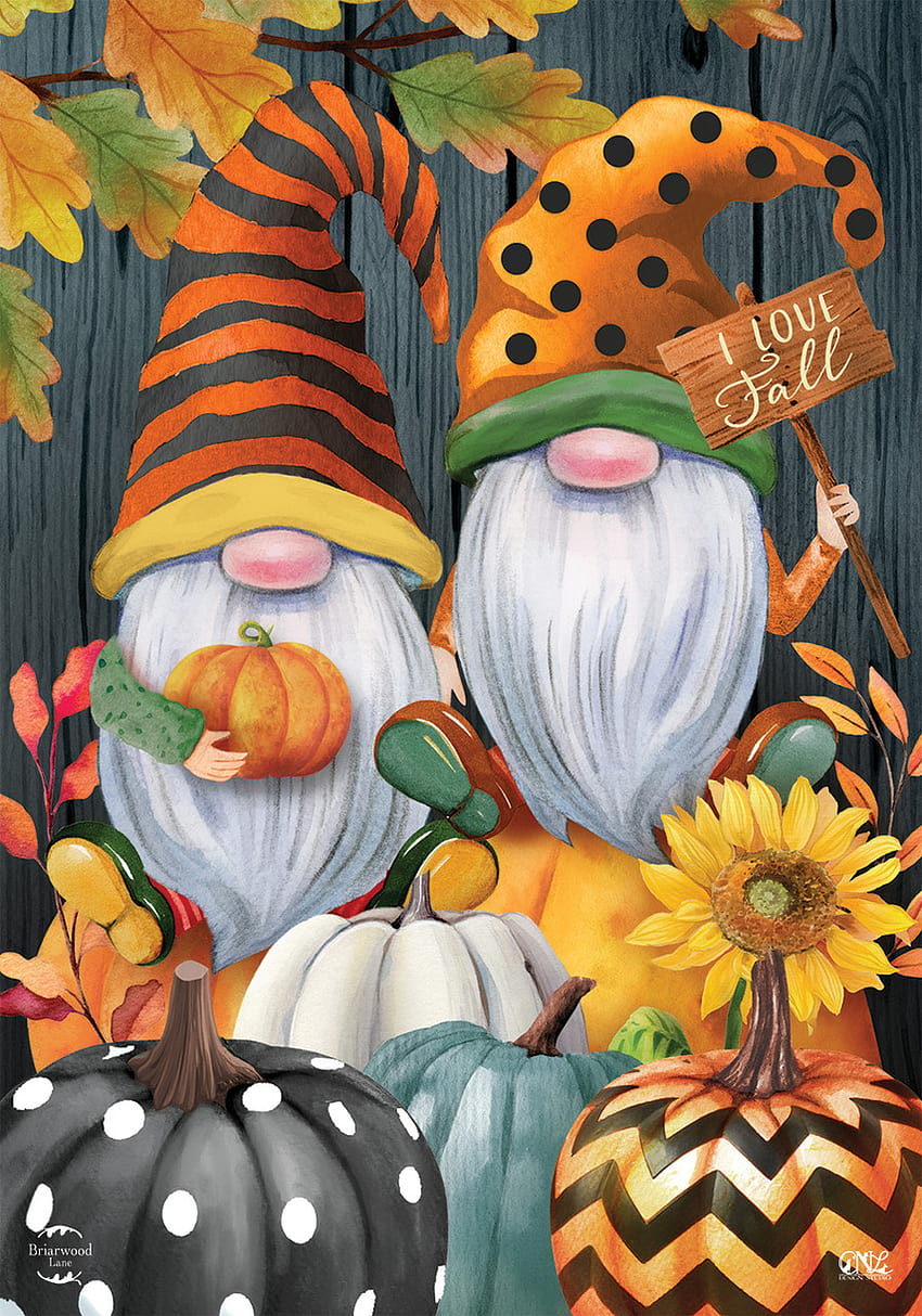 Fall Gnomes Humor Garden Flag, gnome autumn HD phone wallpaper