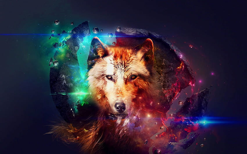 Galaxy Wolves posted by Samantha Johnson, galaxy wolf rainbow HD wallpaper