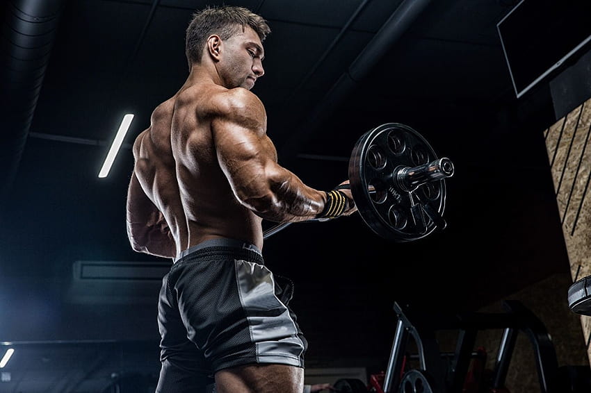 Hombre Gimnasio Músculo Ejercicio físico Espalda humana Barbell atlético, gimnasio hombres fondo de pantalla