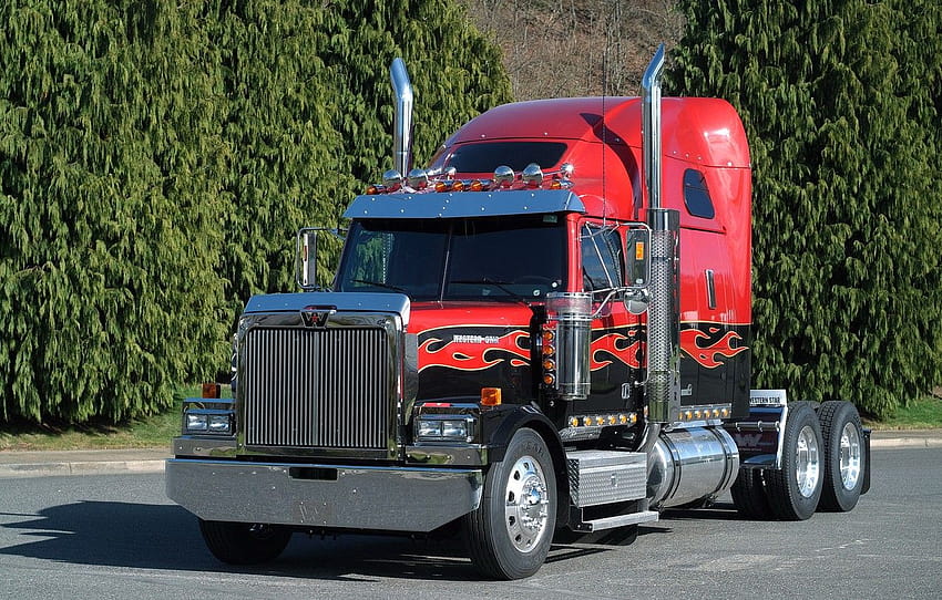 Truck, Grain, Western Star, 4900 , section грузовики, western star trucks HD wallpaper