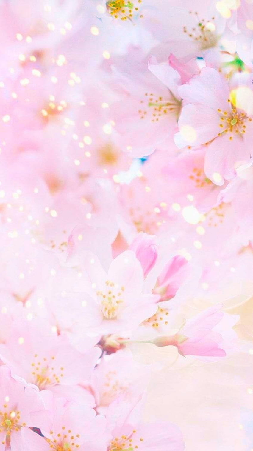 Sakura , Earth, Spring, Blossom, Pastel, Pink, Sunny, Flower • For You, pink spring cute HD phone wallpaper